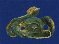 藏品(赤尾青竹絲)的圖片